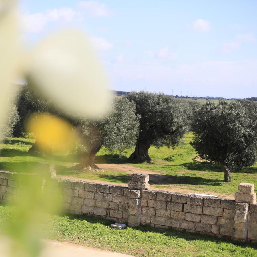Masseria Cuturi Manduria Ngoại thất bức ảnh